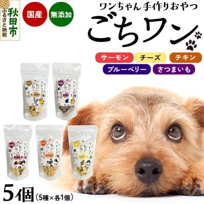 ふるさと納税 秋田市 わんちゃん手づくりおやつ「ごちワン」トリーツ5種セット|15_pco-01f101
