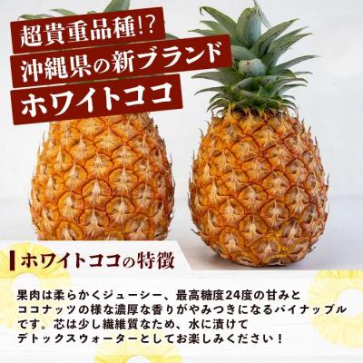 ふるさと納税 石垣市 《2027年5月下旬以降順次発送》お試し用 香りに溺れる。幻の白果 ホワイトココ 1玉(約700g) |  | 01
