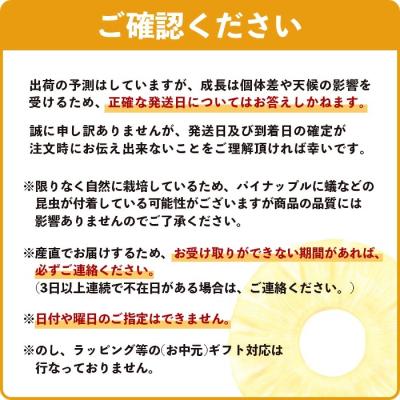 ふるさと納税 石垣市 《2027年5月下旬以降順次発送》お試し用 香りに溺れる。幻の白果 ホワイトココ 1玉(約700g) |  | 02