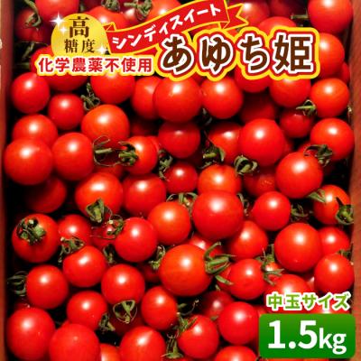 ふるさと納税 設楽町 栽培期間中農薬不使用 中玉トマト シンディースイート あゆち姫 1.5kg ミニトマト とまと