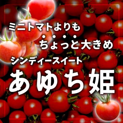ふるさと納税 設楽町 栽培期間中農薬不使用 中玉トマト シンディースイート あゆち姫 1.5kg ミニトマト とまと |  | 01