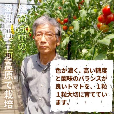 ふるさと納税 設楽町 栽培期間中農薬不使用 中玉トマト シンディースイート あゆち姫 1.5kg ミニトマト とまと |  | 03