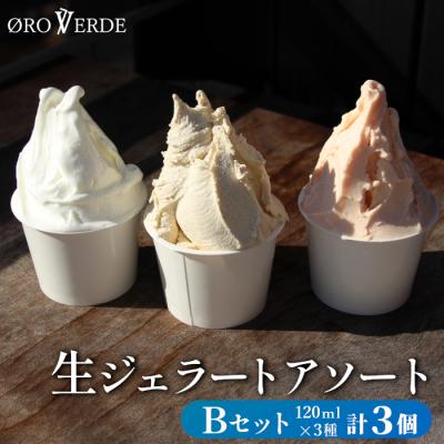 ふるさと納税 設楽町 生ジェラート アソート 3個 Bセット (トマトソルベ・ミルク・ほうじ茶) アイス デザート
