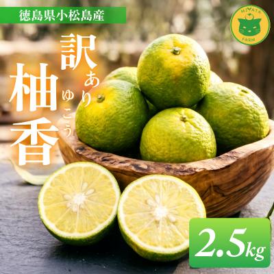 ふるさと納税 小松島市 訳あり ゆこう 2.5kg (2026年10月以降順次発送) 柑橘 果物 柚香 果皮 果汁 小松島市