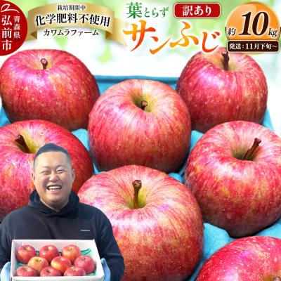 ふるさと納税 弘前市 りんご 葉とらず サンふじ[訳あり]約10kg 先行受付|24_kmf-031001