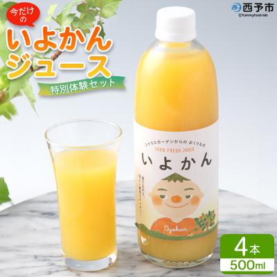 ふるさと納税 西予市 <今だけの「いよかんジュース」特別体験セット>果汁100% ストレートジュース