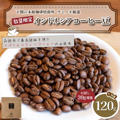 ふるさと納税 下関市 [豆] 訳あり コーヒー豆 お試し 120g 数量限定 インドネシア EW152-E