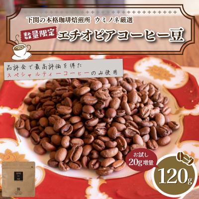 ふるさと納税 下関市 [豆] 訳あり コーヒー豆 お試し 120g 数量限定 エチオピア EW146-E