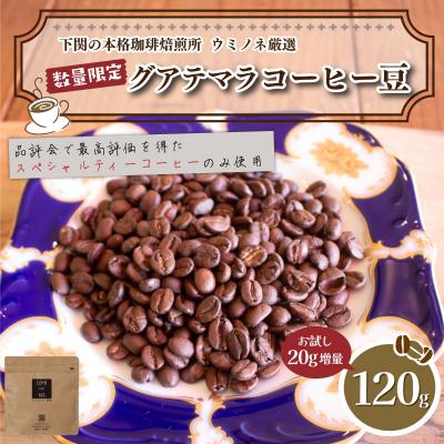 ふるさと納税 下関市 [豆] 訳あり コーヒー豆 お試し 120g 数量限定 グアテマラ EW147-E