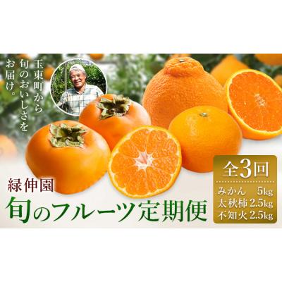 ふるさと納税 玉東町 [先行予約]全3回 旬のフルーツ定期便 みかん 柿 不知火 緑伸園[9月下旬-1月下旬頃出荷]