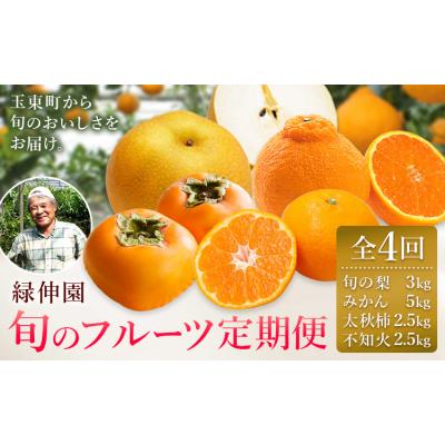 ふるさと納税 玉東町 [先行予約]全4回 旬のフルーツ定期便 梨 みかん 柿 不知火 緑伸園[8月中旬-1月下旬頃出荷]