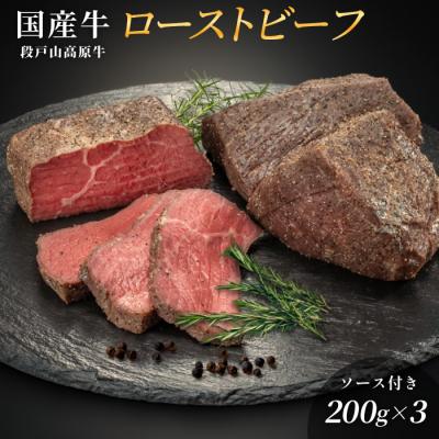 ふるさと納税 設楽町 国産牛 段戸山高原牛 ローストビーフ(加熱済) 200g×3パック ソース付 牛肉 赤身