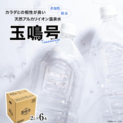 ふるさと納税 大崎市 水 温泉水 玉鳴号 2l×6本 bi-tng-2l-6
