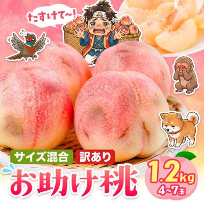 ふるさと納税 笠岡市 訳あり お助け桃 約1.2kg[6月下旬-9月上旬頃出荷]岡山県 笠岡市 ご家庭用 白桃