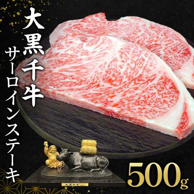 ふるさと納税 加西市 大黒千牛 サーロインステーキ 500g 黒毛和牛 ステーキ 和牛[No5698-2817]