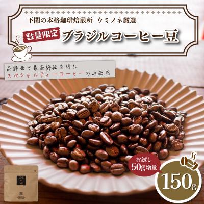 ふるさと納税 下関市 [豆] 訳あり コーヒー豆 お試し 150g 数量限定 ブラジル EW144-E