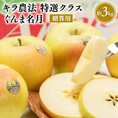 ふるさと納税 平川市 1〜3月 完熟りんご ぐんま名月 約3kg 贈答用 特選クラス