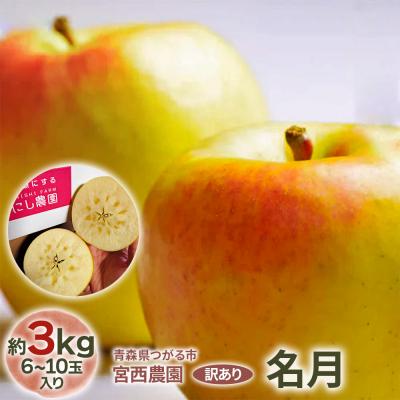 ふるさと納税 つがる市 [訳あり] 名月[約5kg 12から18玉入り][1051]