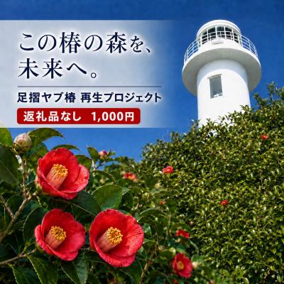 ふるさと納税 土佐清水市 足摺ヤブ椿再生プロジェクト 応援(返礼品なし) 自然・環境保護 SDGs[R01750]