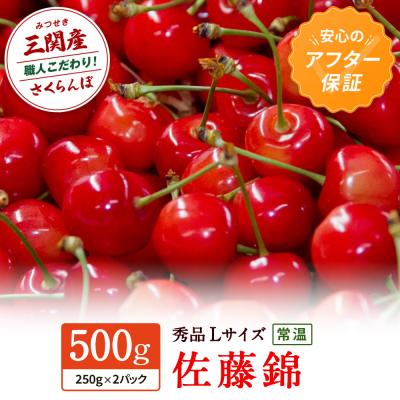 ふるさと納税 湯沢市 [令和9年産先行受付・常温配送]さくらんぼ 佐藤錦 秀品 Lサイズ 250g×2[B3-15101]
