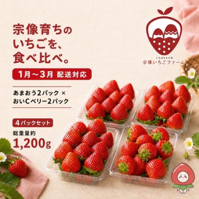 ふるさと納税 宗像市 [先行予約]人気のいちご 2品種食べ比べセット[宗像いちごファーム]