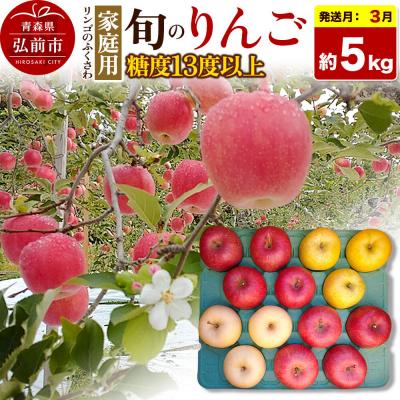 ふるさと納税 弘前市 りんご 旬のリンゴ詰め合わせ[家庭用]約5kg[先行受付]|24_rfk-010501a