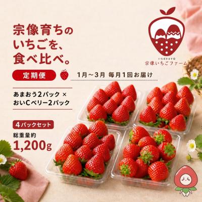 ふるさと納税 宗像市 [先行予約][3ヶ月毎月お届け]人気のいちご2品種食べ比べ定期便[宗像いちごファーム]