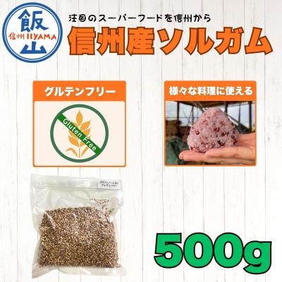 ふるさと納税 飯山市 [先行予約]飯山産ソルガム 500g 1袋 [出荷時期:2026年12月中旬頃〜]