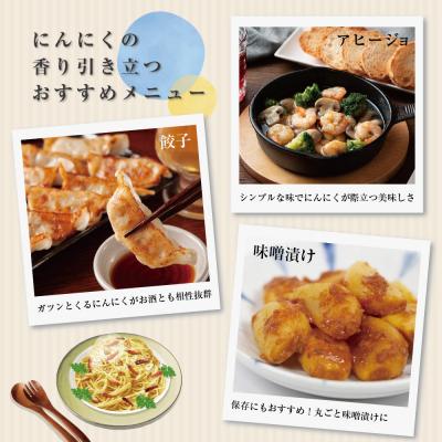 ふるさと納税 五所川原市 【訳あり】青森県産 にんにく 2kg (1kg×2) |  | 03
