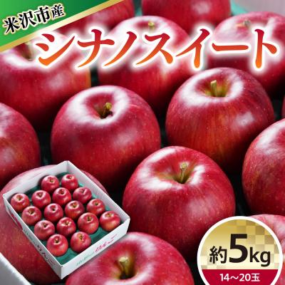 ふるさと納税 米沢市 [令和8年産] シナノスイート (りんご) 約5kg 14〜20玉〔10月中旬〜お届け〕