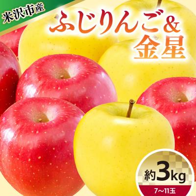 ふるさと納税 米沢市 [令和8年産] りんご 2種 詰め合わせ (ふじ 金星) 計 約3kg 〔12月上旬〜お届け〕