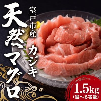 ふるさと納税 室戸市 天然カジキマグロ 1.5kg マグロ 海鮮 グルメ 父の日 ディナー お盆 冷凍 鮮魚