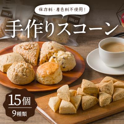 ふるさと納税 三沢市 手作りスコーン6種+ミニスコーン3種詰め合わせセット[計15個入]