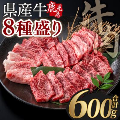 ふるさと納税 曽於市 鹿児島県産 和牛贅沢8種盛り(合計600g)