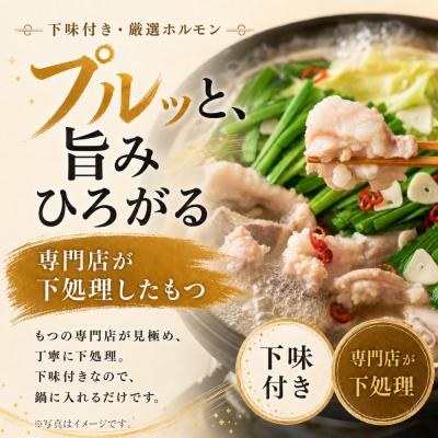 ふるさと納税 福智町 博多油もつ鍋【訳あり】セット2人前【メール便対応】 |  | 03