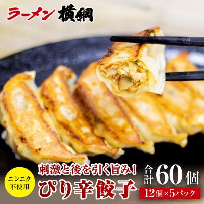 ふるさと納税 京都市 [ラーメン横綱]ニンニク不使用! ぴり辛餃子 5パック60個 京都 有名店 餃子 大人気セット