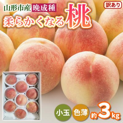 ふるさと納税 山形市 柔らかくなる桃 晩成種 約3kg 訳あり FY25-297