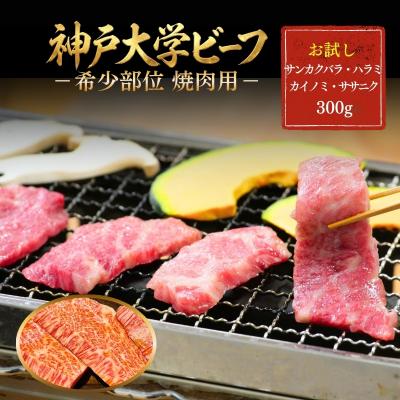ふるさと納税 加西市 神戸牛 神戸大学ビーフ 希少部位 焼肉用 お試し 300g[No5698-2785]