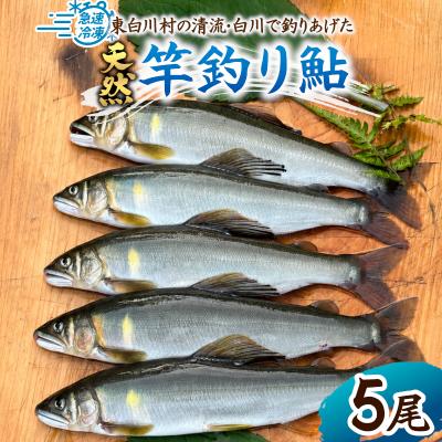 ふるさと納税 東白川村 清流白川 天然鮎 5尾 冷凍 鮎 あゆ 川魚 東白川村産