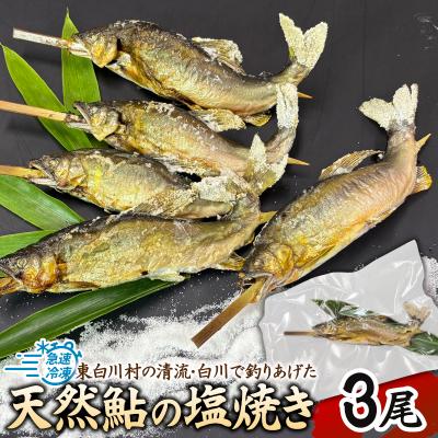 ふるさと納税 東白川村 清流白川 天然鮎の塩焼き 3尾 冷凍 鮎 あゆ 川魚 東白川村産