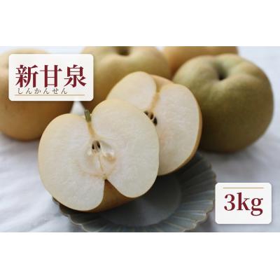 ふるさと納税 米子市 [クール便発送]鳥取県産新甘泉梨3kg