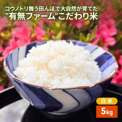 ふるさと納税 加西市 コウノトリ舞う田んぼで大自然が育てた有無ファームこだわり米 白米 5kg[No5698-2786]