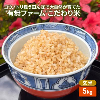 ふるさと納税 加西市 コウノトリ舞う田んぼで大自然が育てた有無ファームこだわり米 玄米 5kg[No5698-2790]