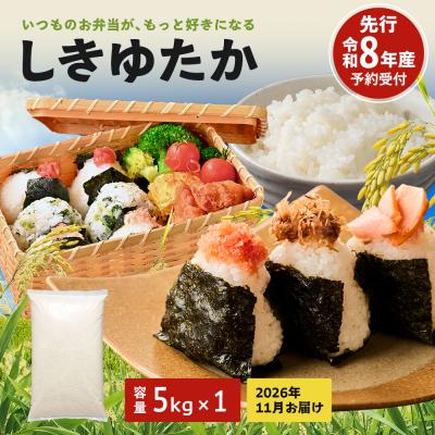 ふるさと納税 加西市 米 令和8年産 先行受付 しきゆたか 白米 5kg[2026年11月発送][No5698-2800]
