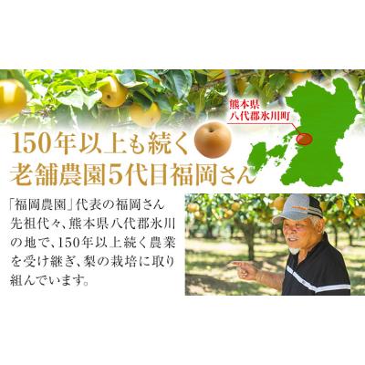 ふるさと納税 氷川町 梨 贈答用 あきづき 福岡農園 こだわりの梨 あきづき 約3.5kg [9月上旬-9月下旬頃出荷]