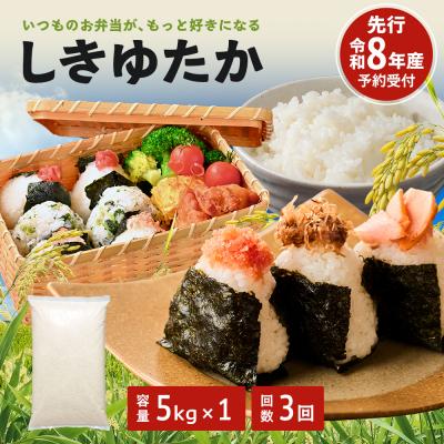 ふるさと納税 加西市 定期便 米 令和8年産 先行受付 しきゆたか 白米5kg 3か月連続お届け[No5698-2805]