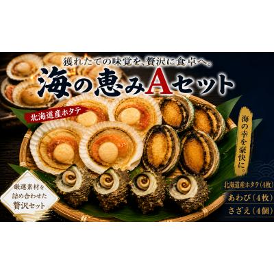 ふるさと納税 下関市 海の恵みAセット 下関 山口 [さわ水産:SW]