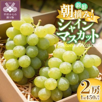 ふるさと納税 甲府市 [2026年度配送分]ぶどう シャインマスカットセットA