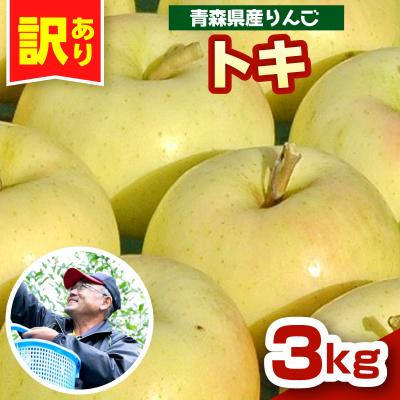 ふるさと納税 五所川原市 りんご トキ 3kg 程度 訳あり 青森 五所川原市 10月中旬以降順次発送 リンゴ とき