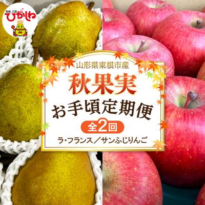 ふるさと納税 東根市 [2026年 秋果実 お手頃定期便]ラフランス・サンふじりんご 各約2kg hi074-024-r8